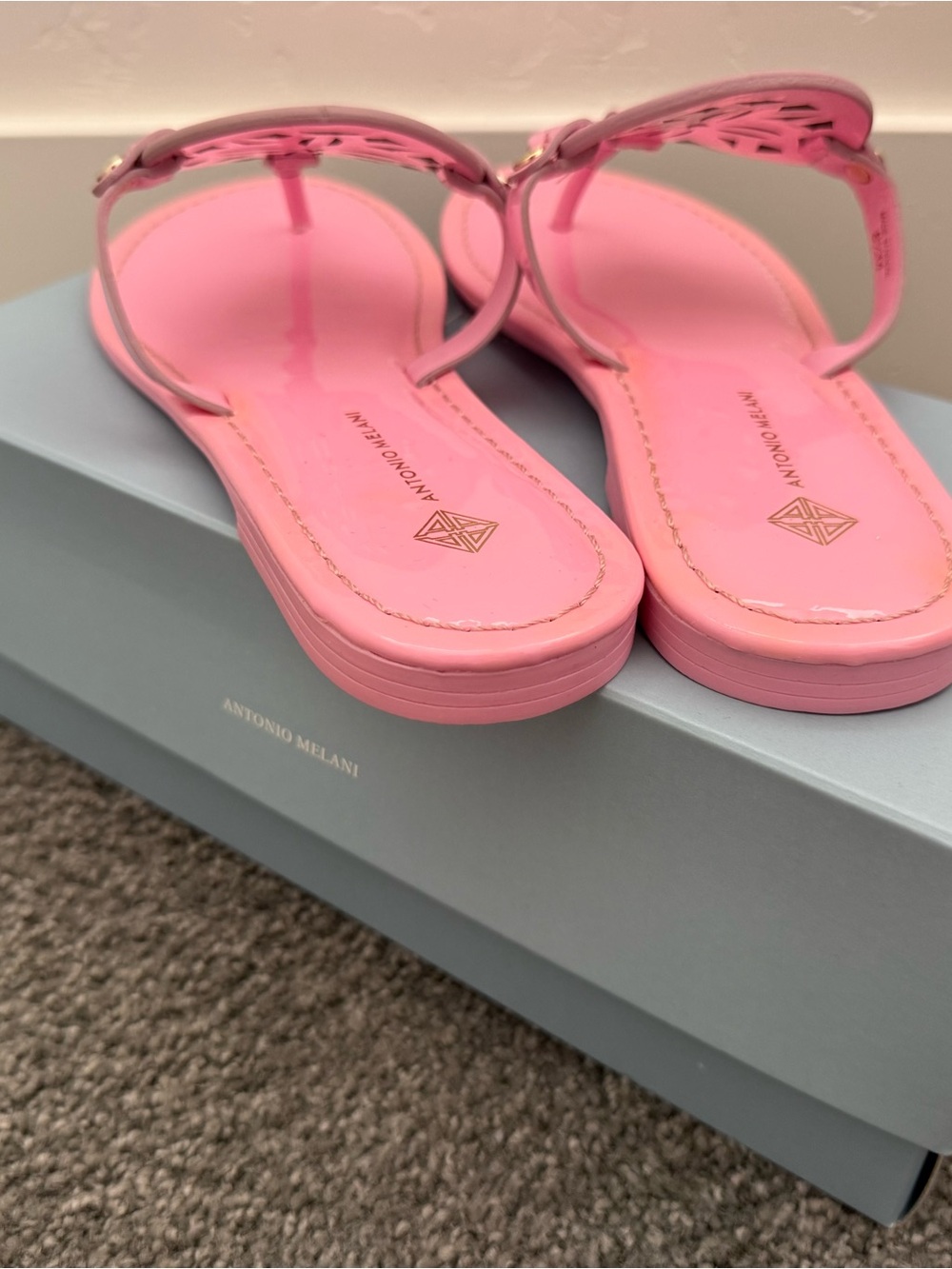 ANTONIO MELANI Pink Laser-Cut Leather Thong Sandals with Gold Accents - Picture 5 of 8